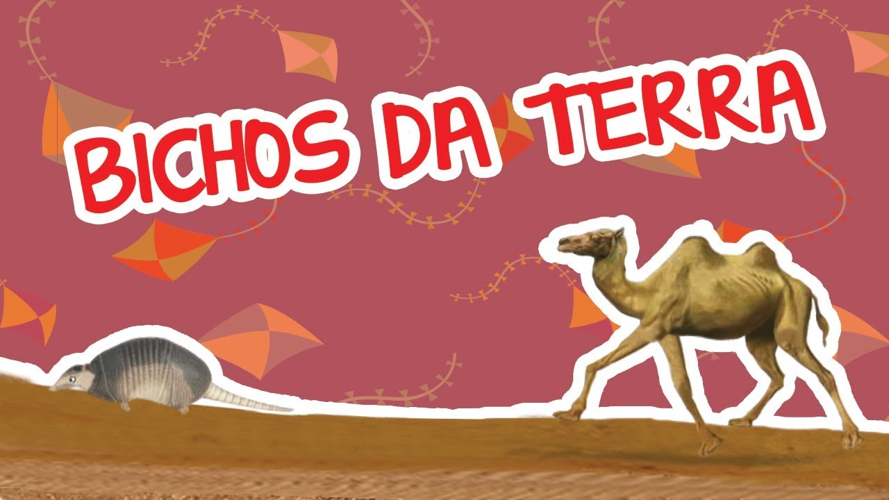 BICHOS DA TERRA | BICHOS 2