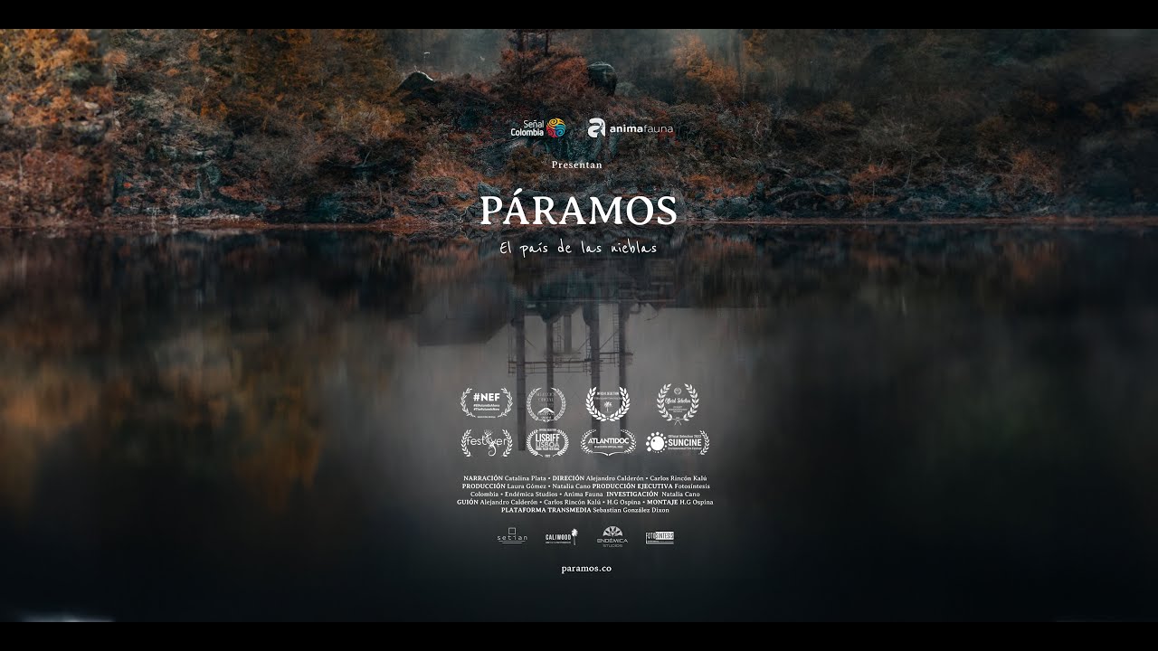 PÁRAMOS I, EL PAÍS DE LAS NIEBLAS