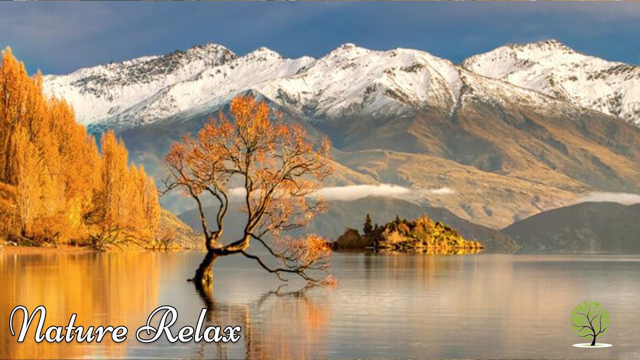 Great relaxing music🍁Nature melodies help reduce stress, heal the soul, stop overthinking & Healing