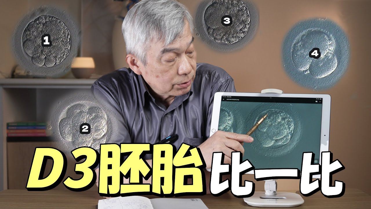 D3胚胎比一比，D5胚胎一定比較好?｜台中大新婦產科診所 生殖中心 #胚胎 #試管嬰兒 #d3