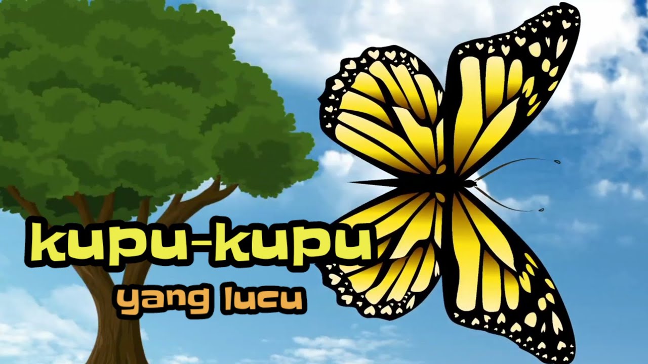 Kupu kupu | lagu kupu kupu | kupu kupu yang lucu