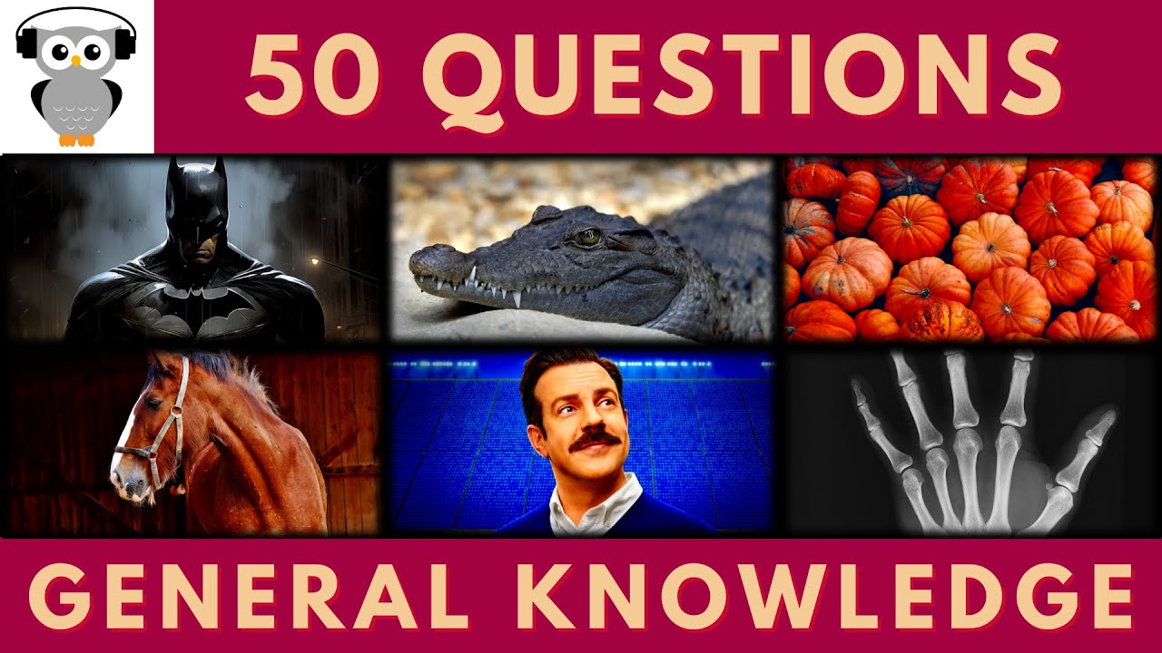 General Knowledge Quiz Trivia #188 | Batman, Alligator, Pumpkin, Horse, Ted Lasso, Finger Bones