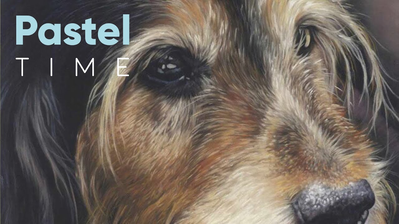 Wire Haired Dog in Soft Pastel - Timelapse