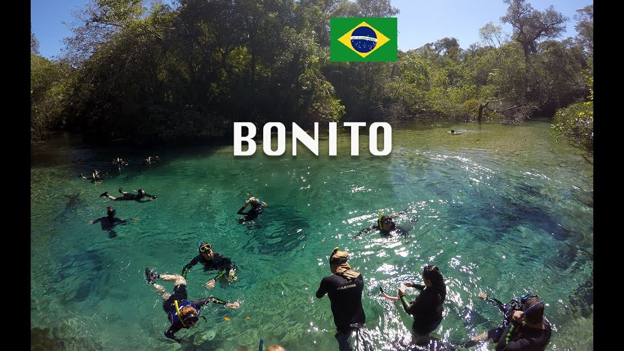 Crystal Clear rivers of Bonito in Brazil - (I swam with an Alligator!)