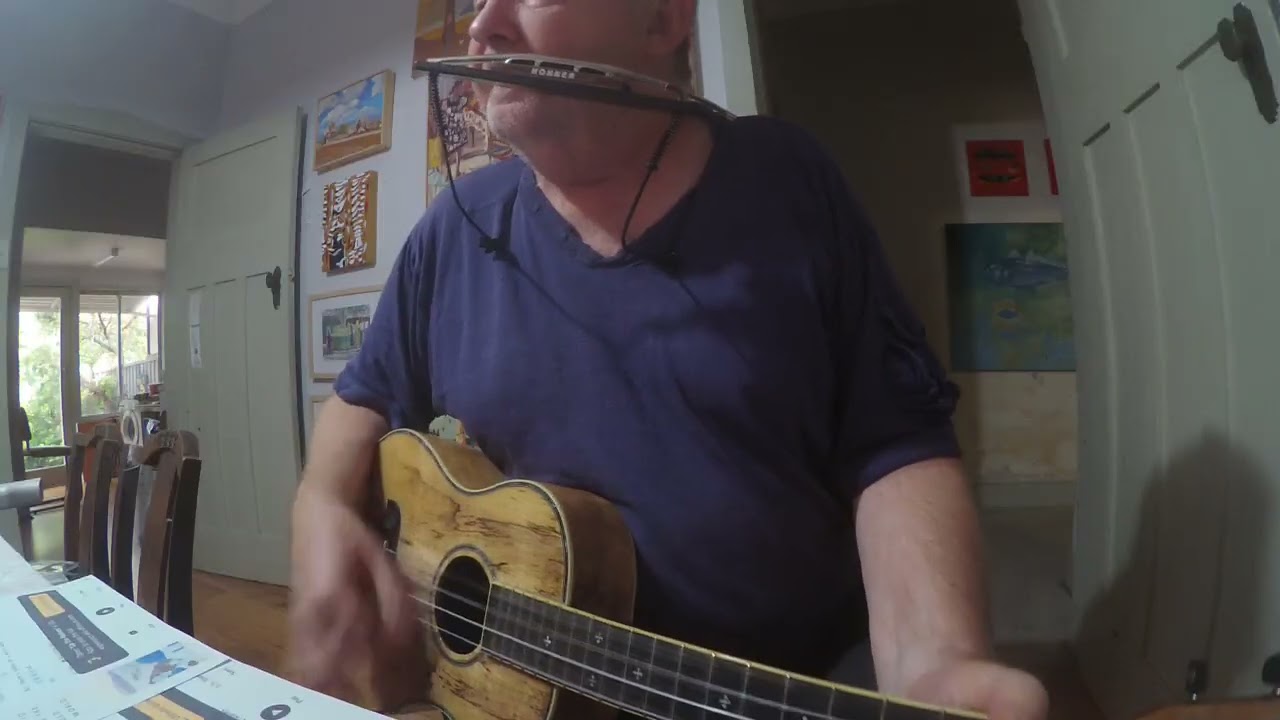 Up the Wolves cover sotu 733