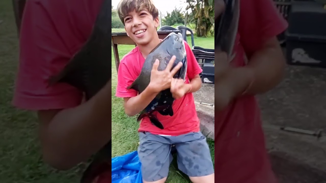 ESTA ACABANDO AS FÉRIAS DO MINI INSCRITO 😅🎣 