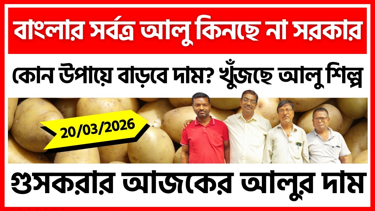 20/03/2026 : গুসকরার আজকের নতুন আলুর দাম | Today's Potato Price in Guskara - India Potato News