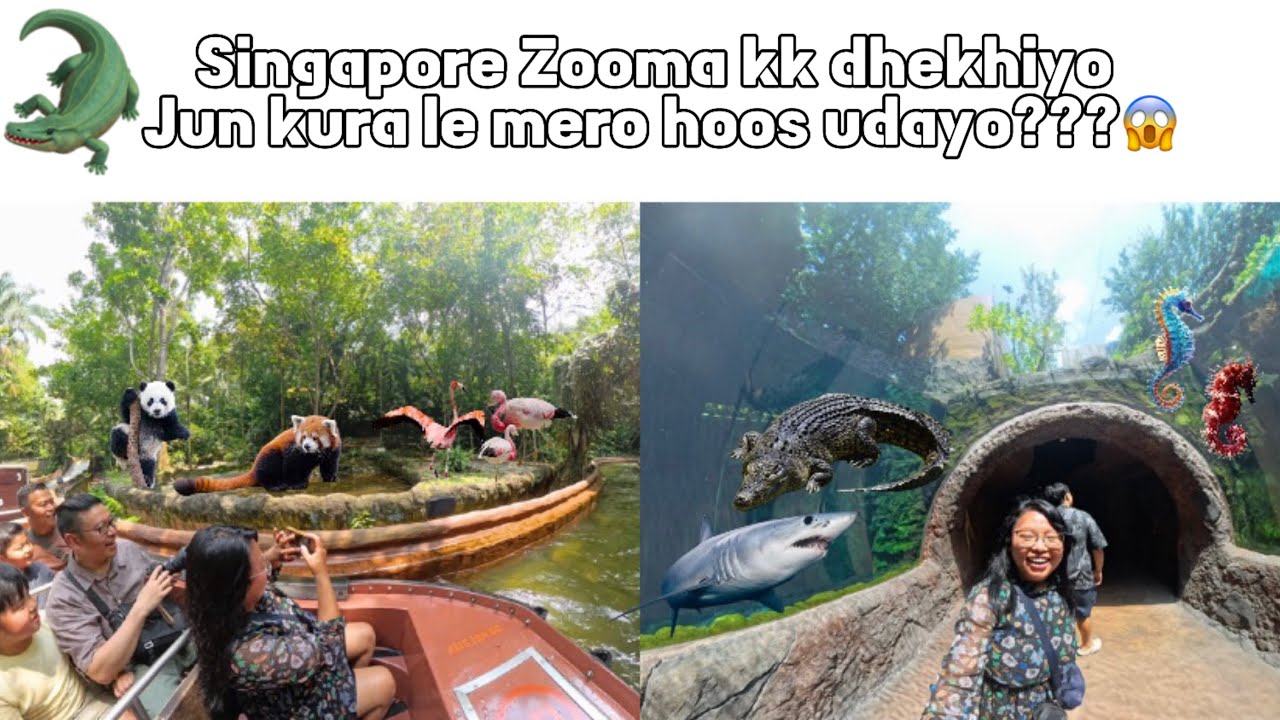 Sinagpore zoo || a complete different experience