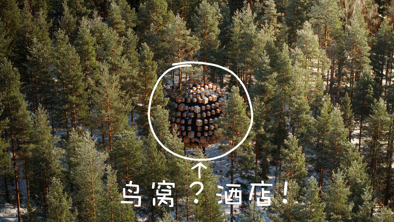 天呢！我们居然住进了鸟窝里！一生一定要尝试一次的瑞典树屋酒店｜Tree Hotel in Sweden｜4KHDR