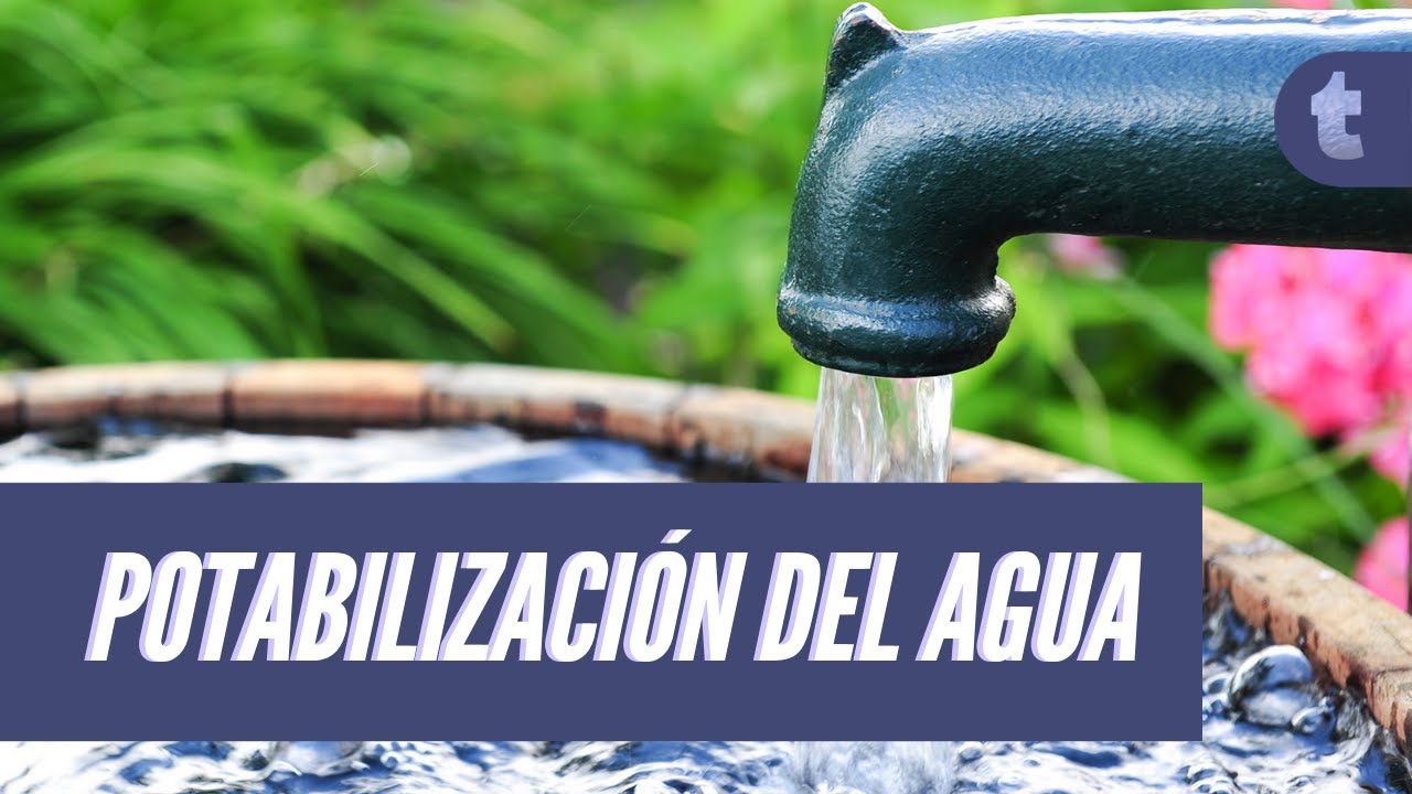 AGUA POTABLE: &iquest;Cu&aacute;l es su proceso?