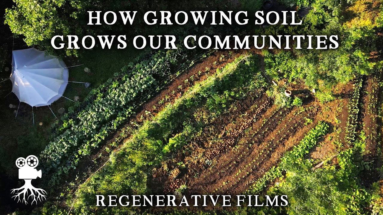 Inspiring Small-Scale Market Garden's Approach to Connecting People with Food | Permaculture Ethics