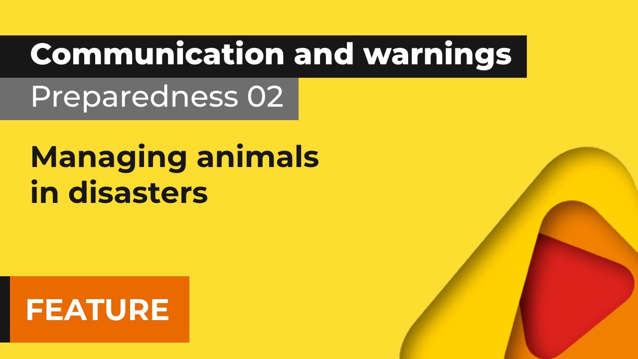 Preparedness 2: Managing animals in disasters