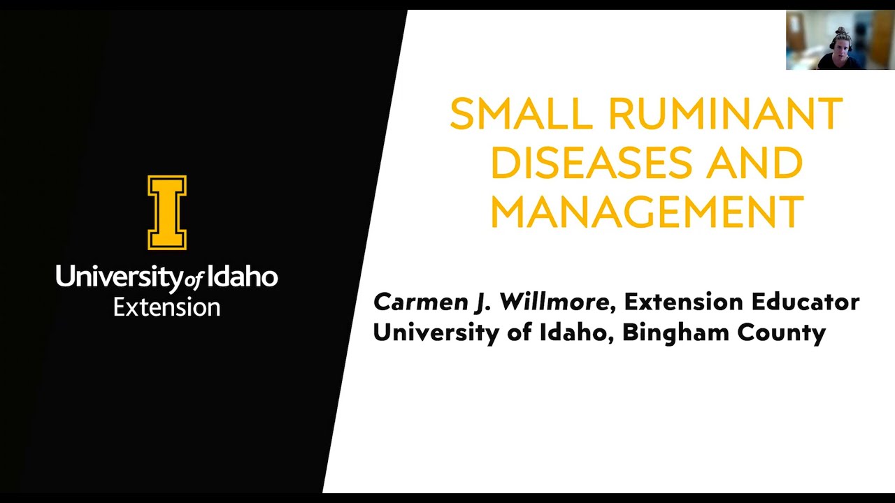 Small Ruminant Diseases and Management