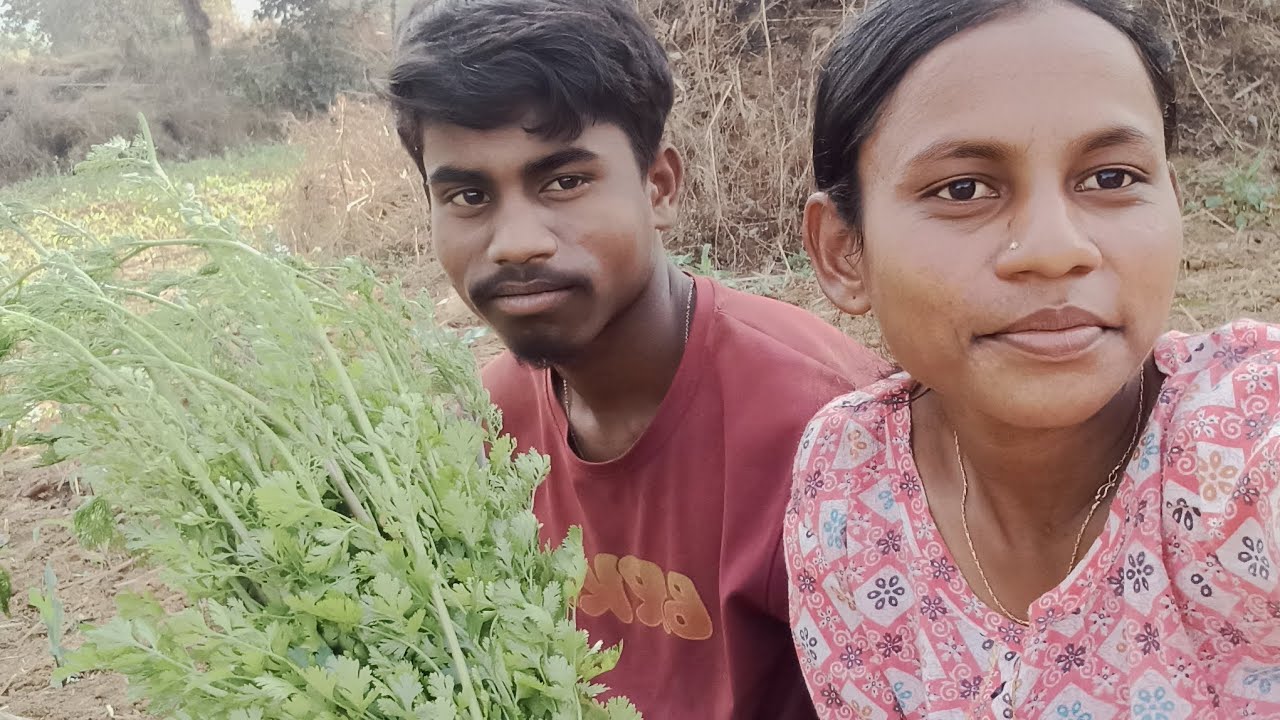 😍आज दादा लोगों का खेत से क्या क्या सब्जी दिये 🤔🤔