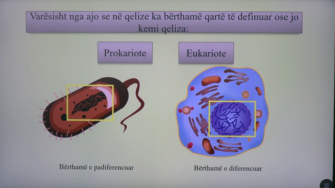 8 06 001 - Java e parë - Biologji - Qeliza