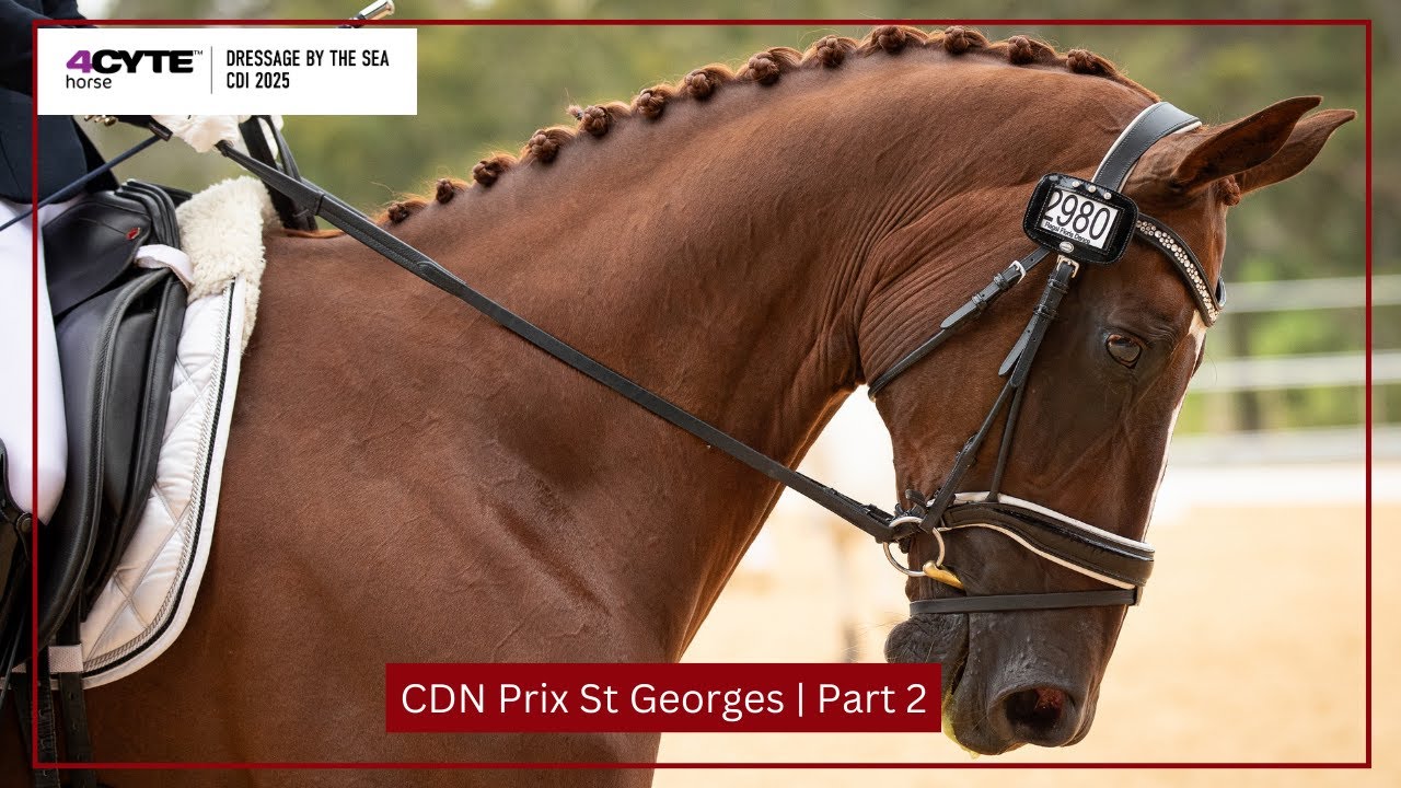 CDN Prix St Georges | Part 2 of 3 | 4CYTE Dressage by the Sea CDI 2025