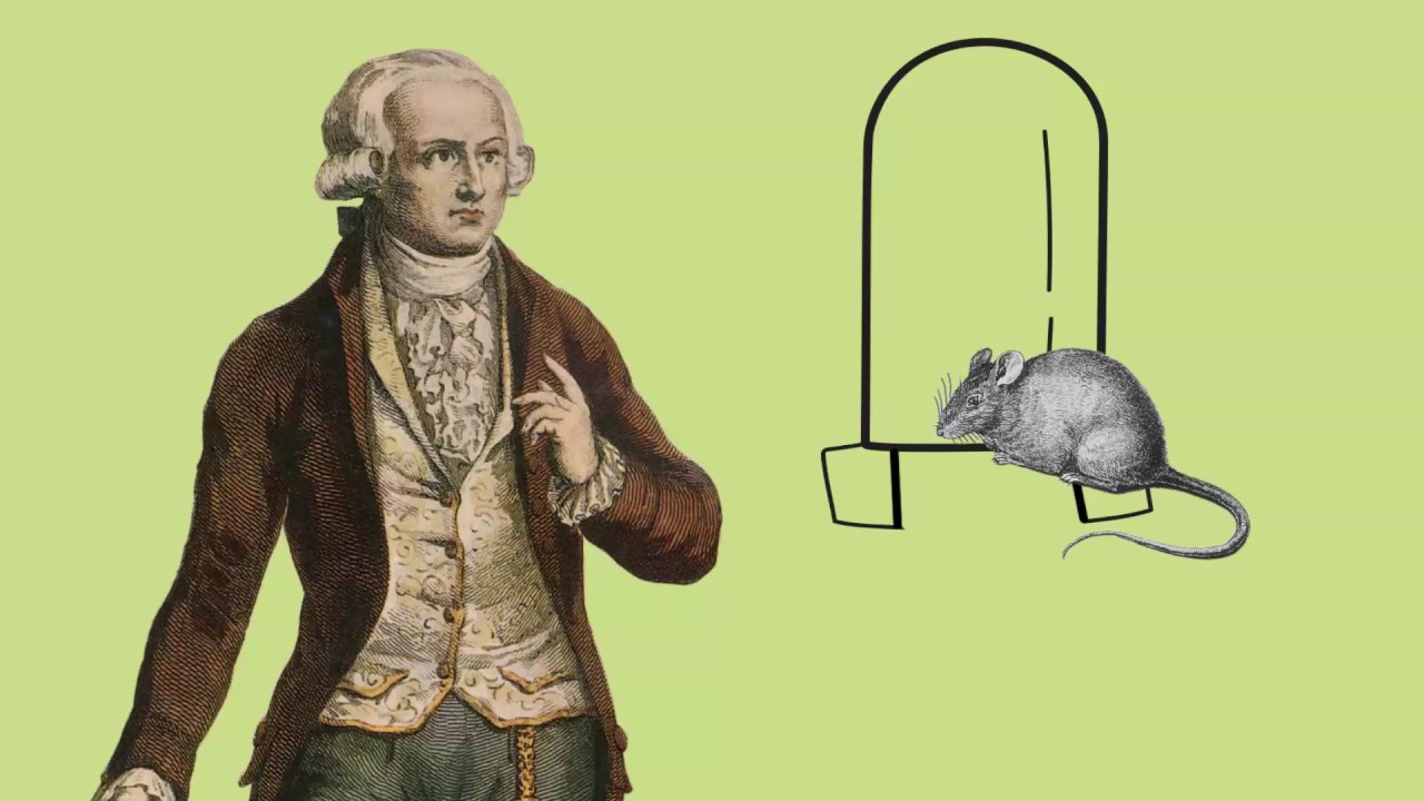L'exp&eacute;rience de Lavoisier