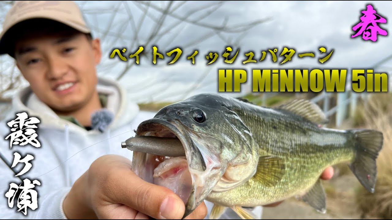 【HPミノー5in】春の霞ヶ浦本湖バス釣りベイトフィッシュパターン【加藤栄樹】