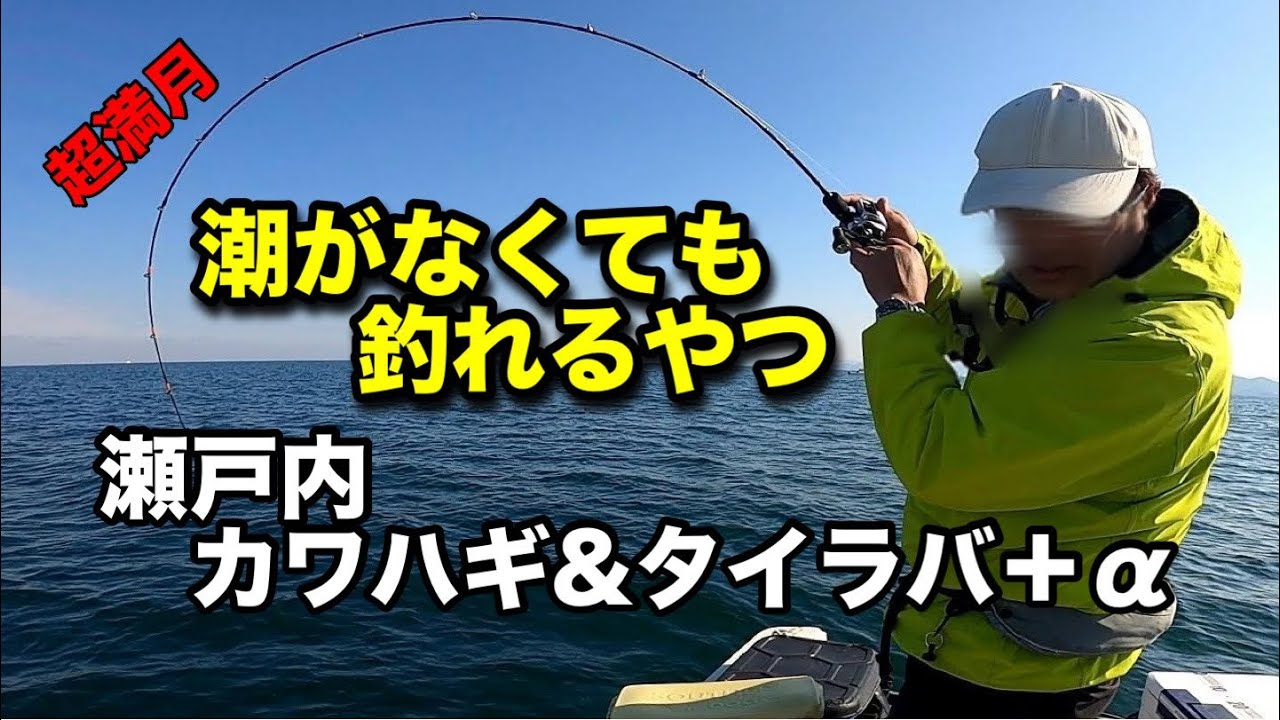 潮がなくても釣れるやつ　瀬戸内カワハギ＆タイラバ