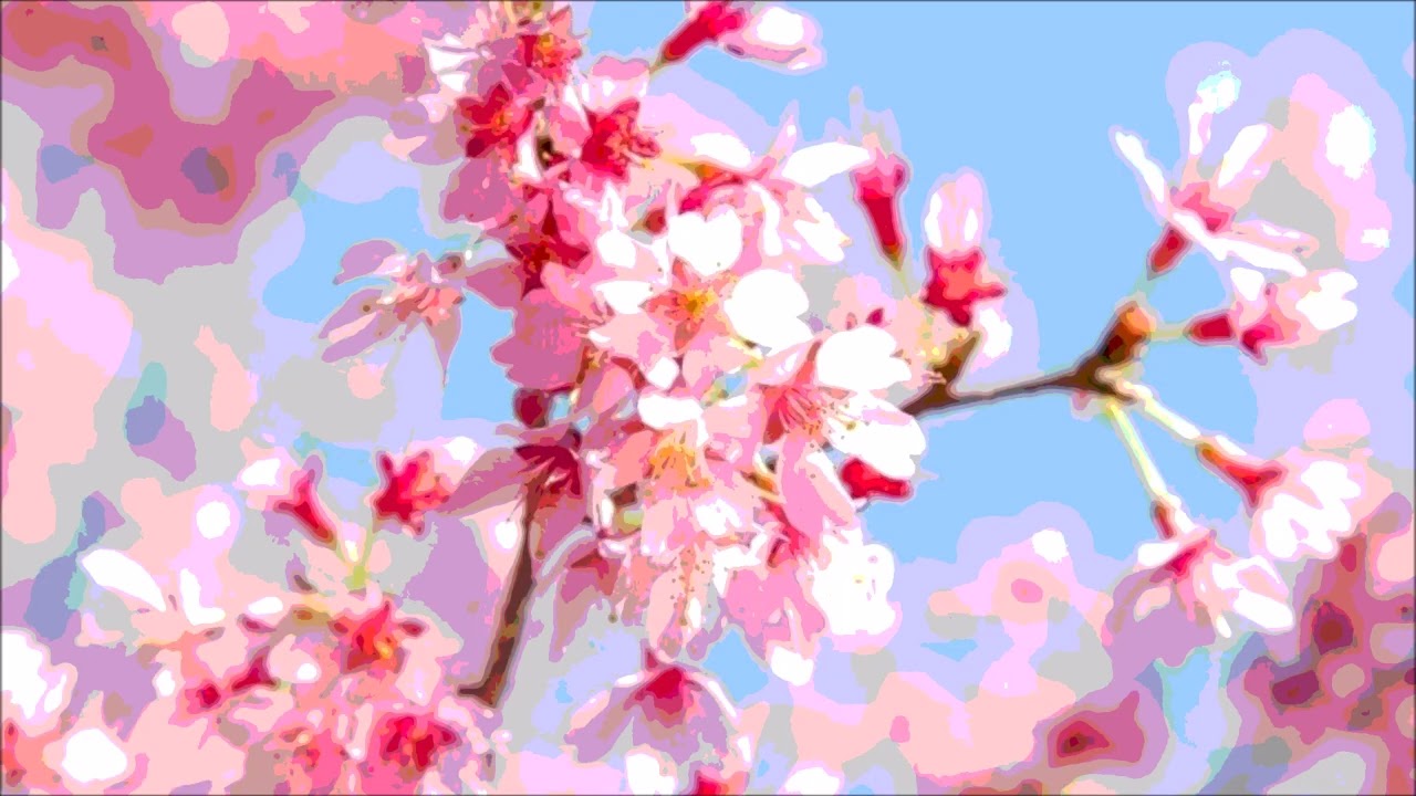 Sakura (Original relaxing piano solo music)