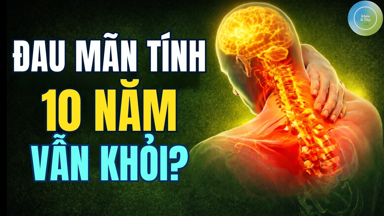 Đau Mãn Tính 10 Năm Vẫn Khỏi? Khoa Học Mới Về Não Bộ Và Cách Thoát Đau