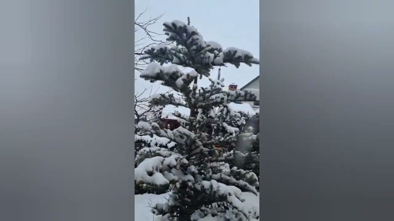 Gawęda wuja Henryka  #pogoda #zima2026 #shorts 