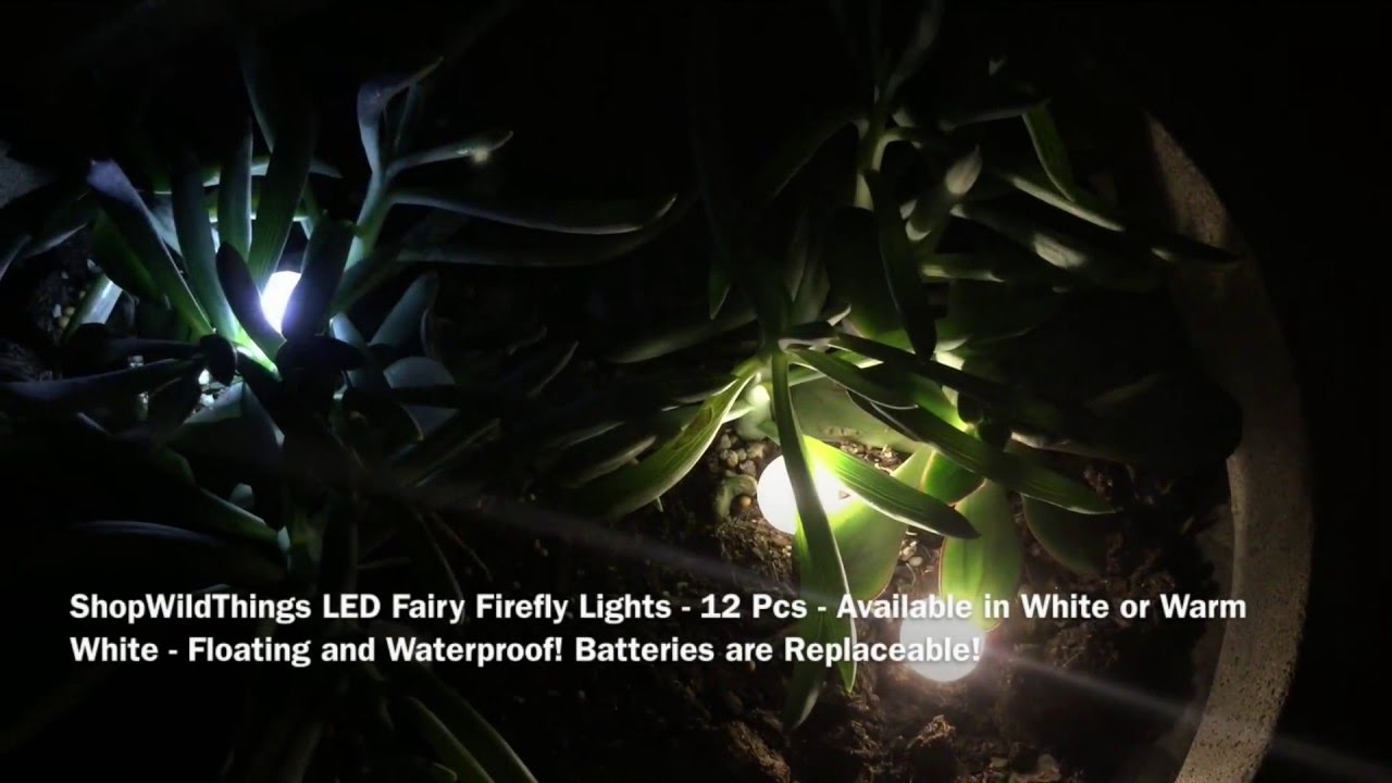 ShopWildThings Fairy Firefly Pearls - White or Warm White! Waterproof!