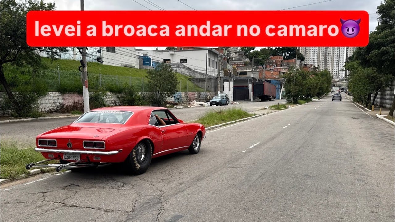 BROACA ANDOU NO CAMARO! SE CAGOU DE MEDO!