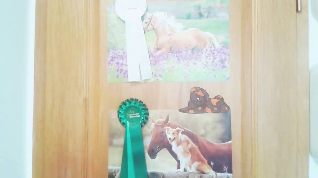 Mein Putzkoffer &hearts;
