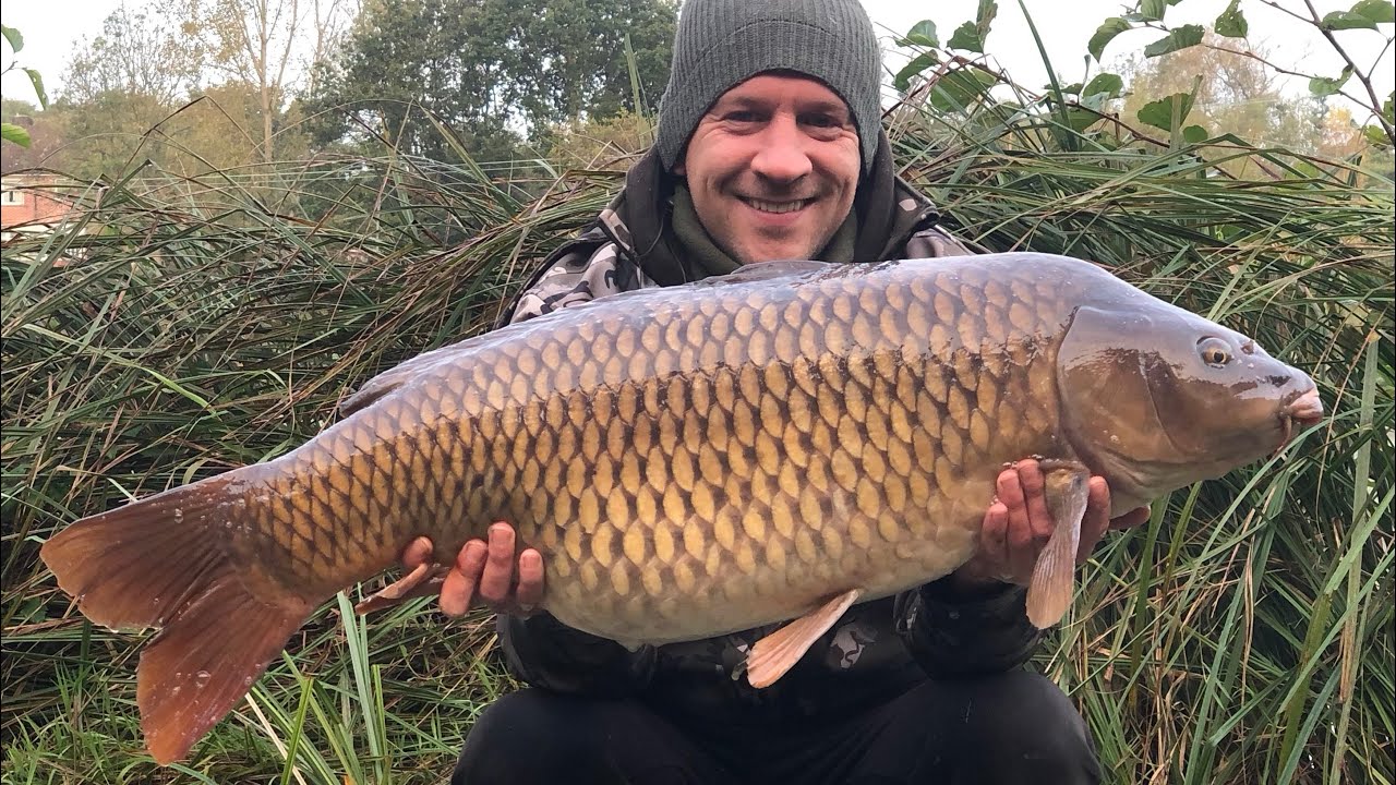 River Farm Carp Fishery, 36lb + Common , BIG HIT CARP FISHING