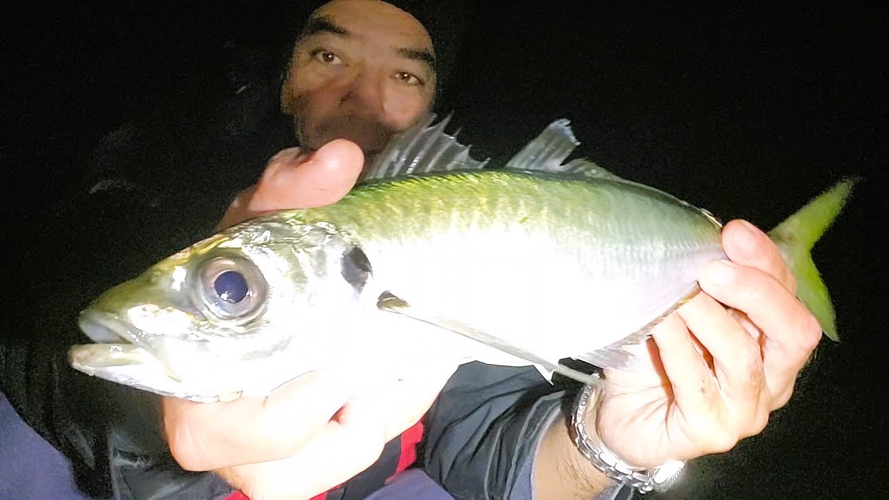 PÊCHE en ROCKFISHING