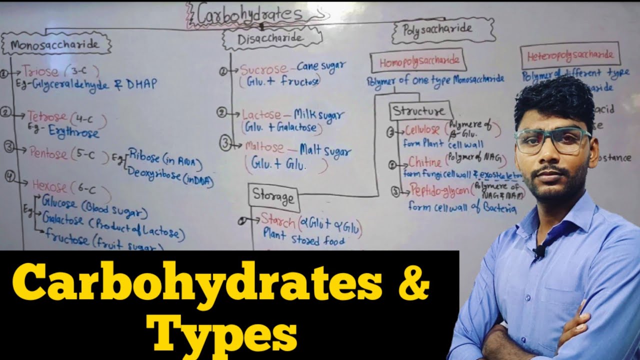 Carbohydrates | Biomolecules | Class 11 Biology | NEET 2022 | Monosaccharide | Pradeeps Biology