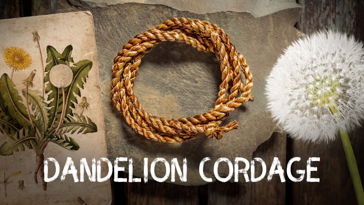 Dandelion Cordage | Cordage from foraged fibres | Ep 3