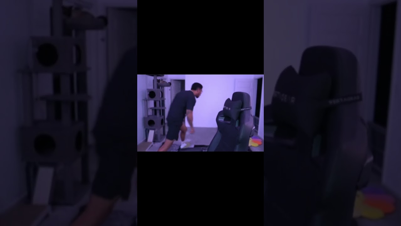 Low Tier God's cat pulls up and catches the fade