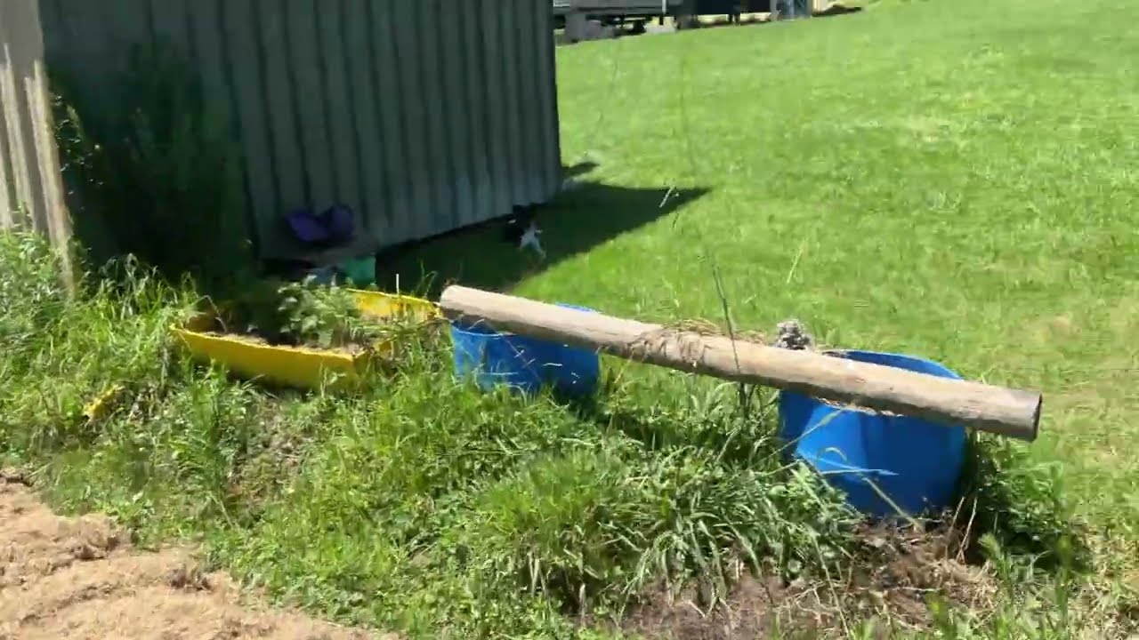 Weed eating again!!!