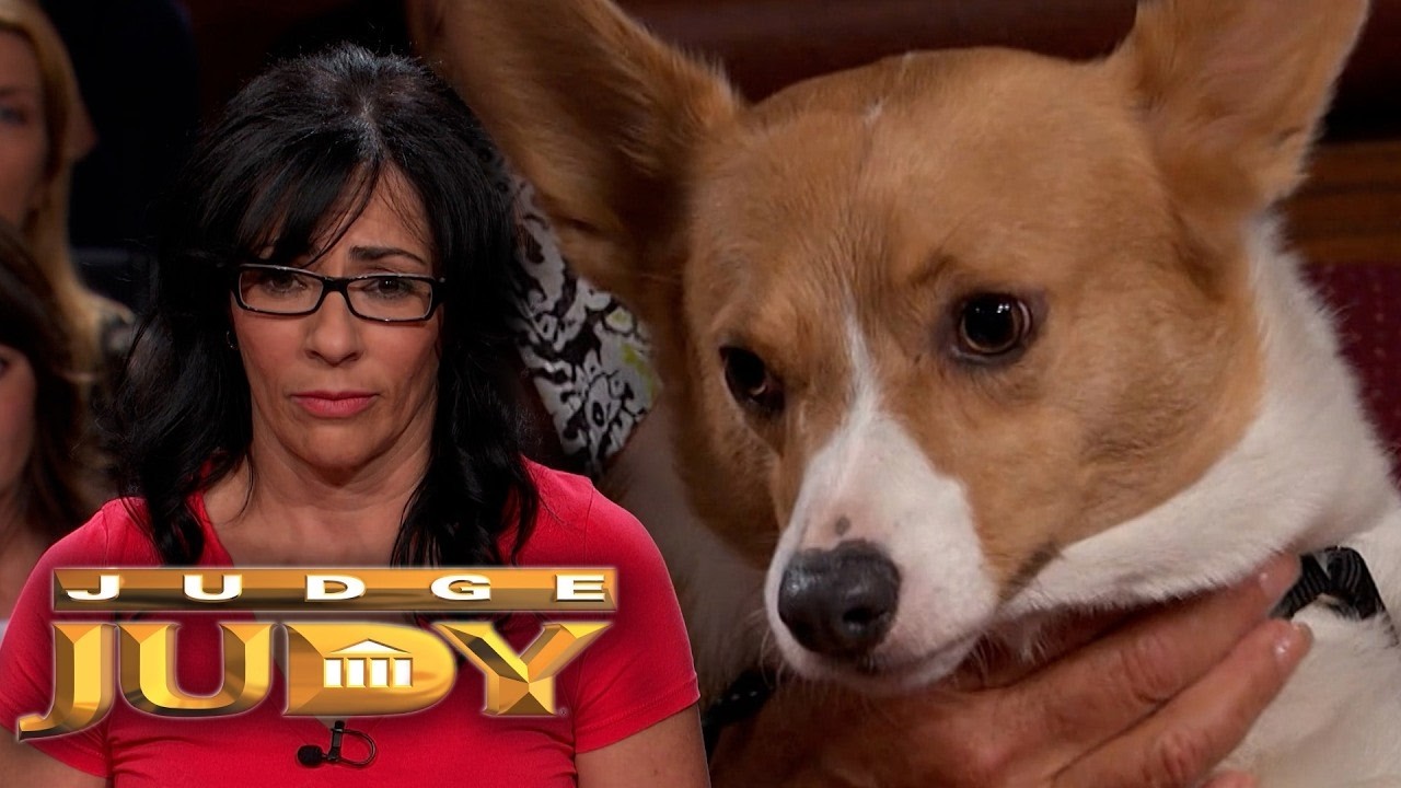 Judge Judy Episode 33094 Best Amazing Cases Season 2O26 Full Episodes HD