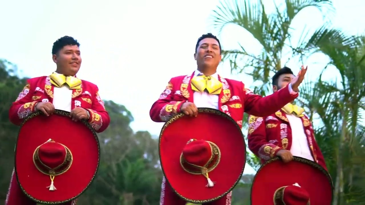 MIX DE CUMBIAS - MARIACHI DE ORO