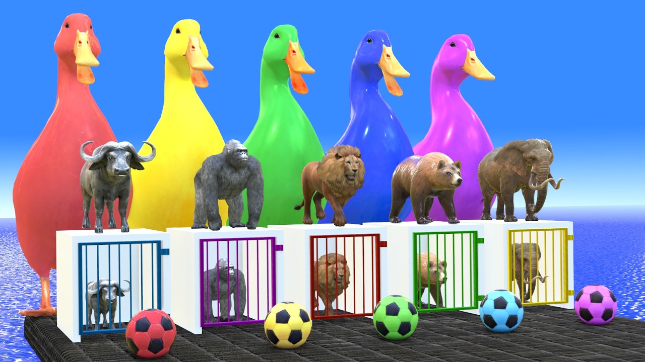 Long Slide Game With Elephant Gorilla Buffalo Hippopotamus Tiger - 3d Animal Game - Funny 3d Animals