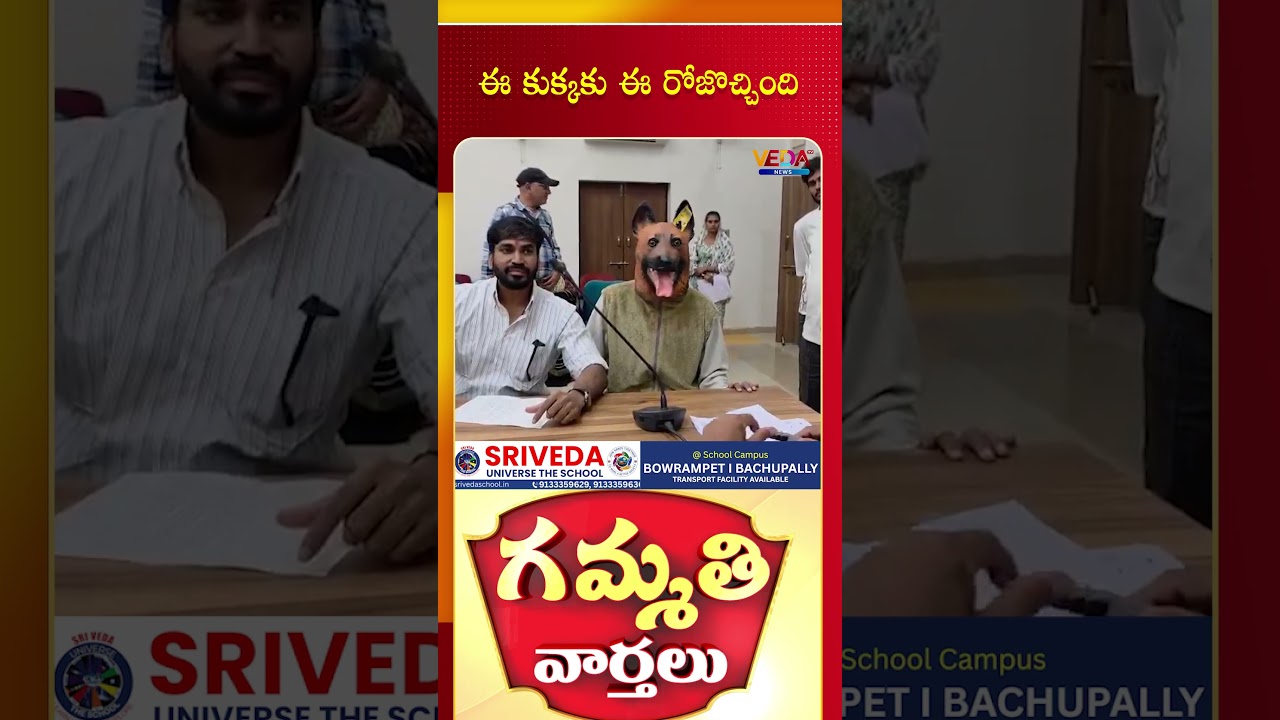 ఈ కుక్కకు ఈ రోజొచ్చింది  | Gammathi Varthalu | Veda TV News