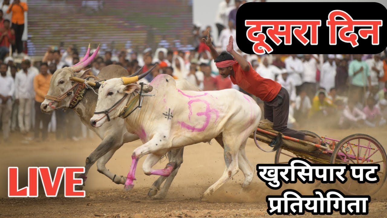 दूसरा दिनLive khursipaar Pat 👫 खुरसिपार पट प्रतियोगिता Live ❤ Ox Race ✌Pat Pratiyogita video 🙋 Ox