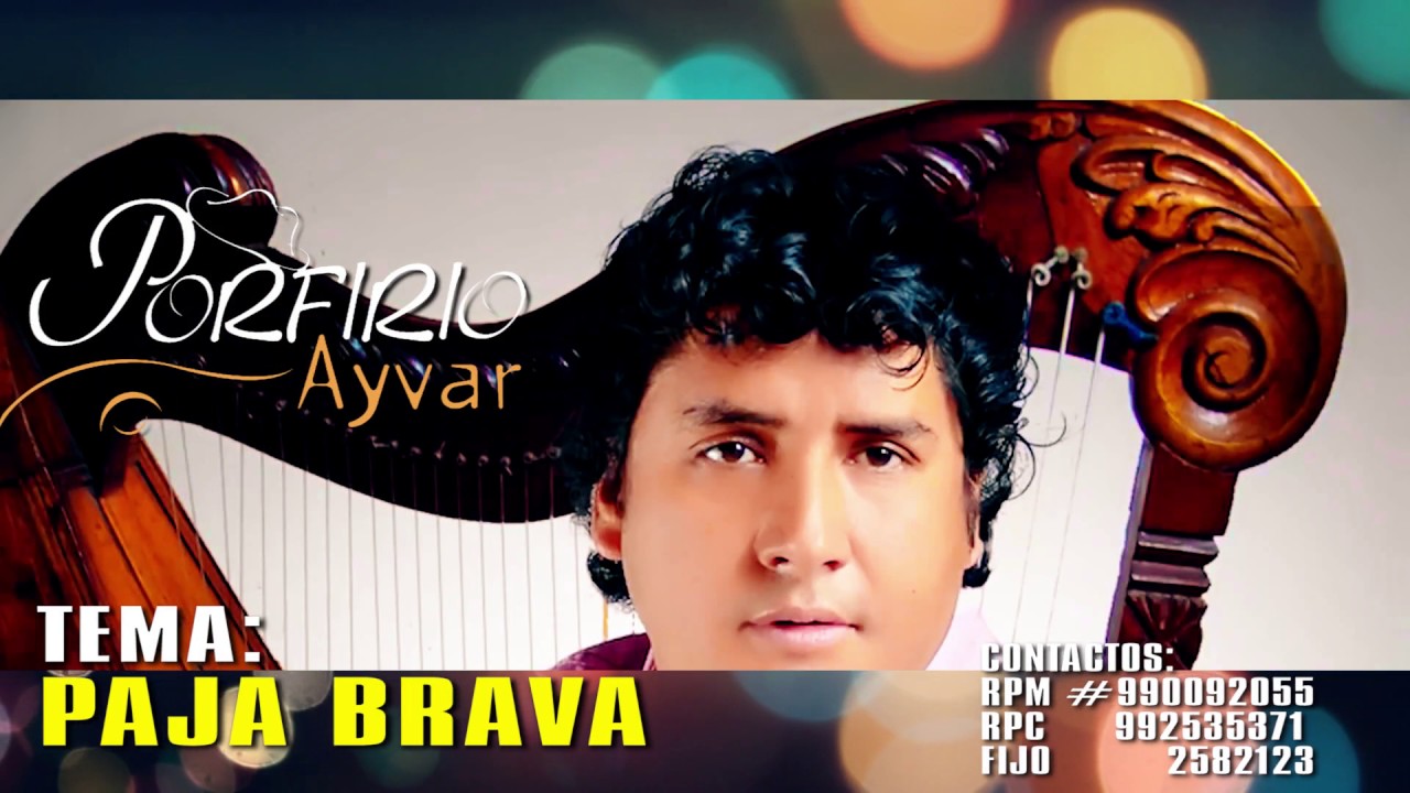 PORFIRIO AYVAR: PAJA BRAVA  / PRIMICIA 2017