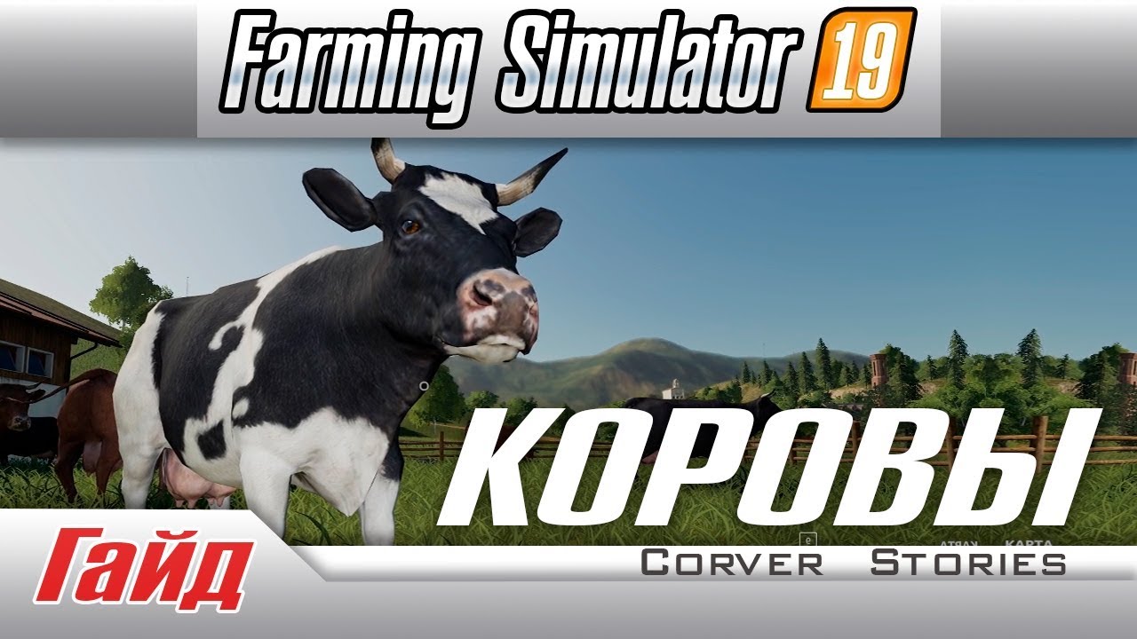 Farming Simulator 19.  Гайд по коровам