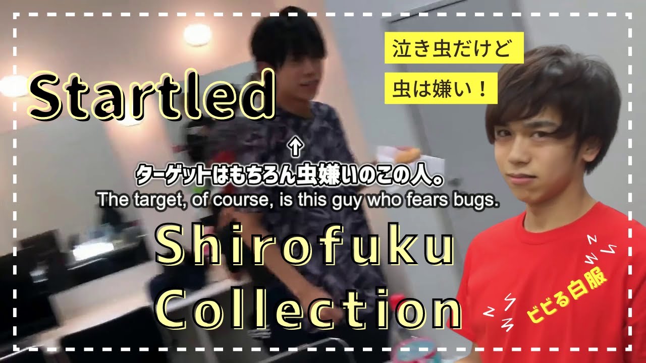 【MeseMoa.】The Startled Shirofuku Collection - ビビる白服まとめ [Eng. sub]
