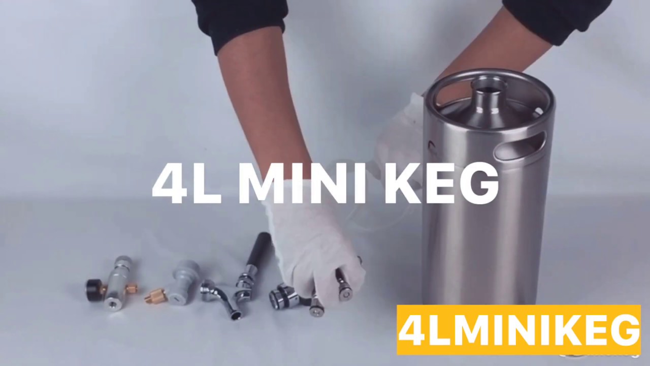 Hot Sales in South America Homebrew Stainless Steel 4L Beer Mini Keg