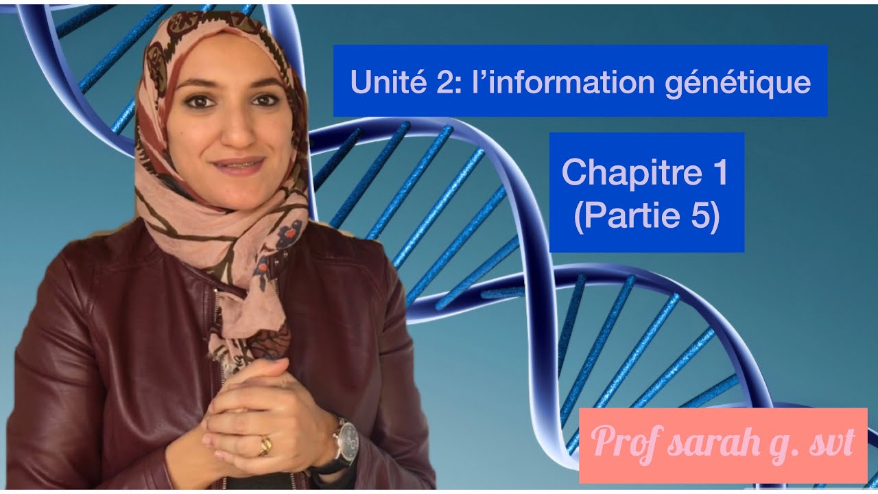Unité 2/chapitre 1 (partie 5)/ ADN, nucléotide, histone...