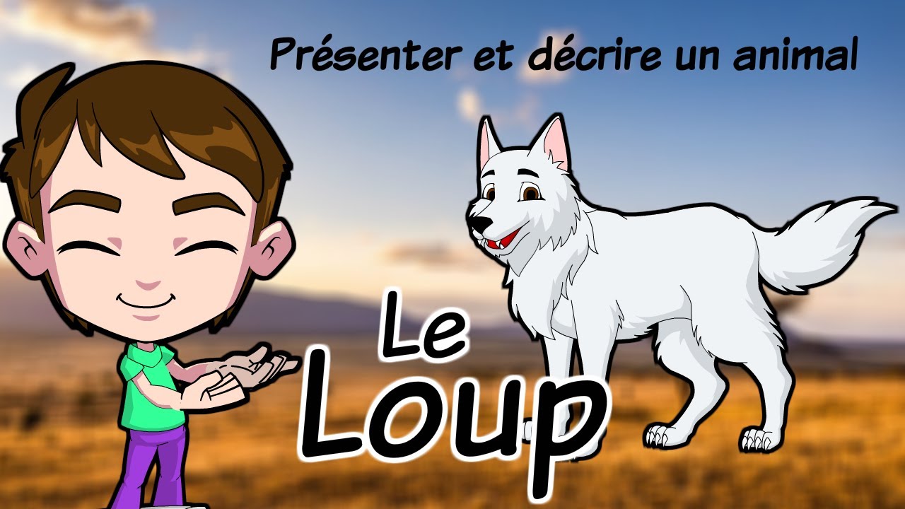 Présenter et décrire un animal / Le loup/ production écrite /animals in french/