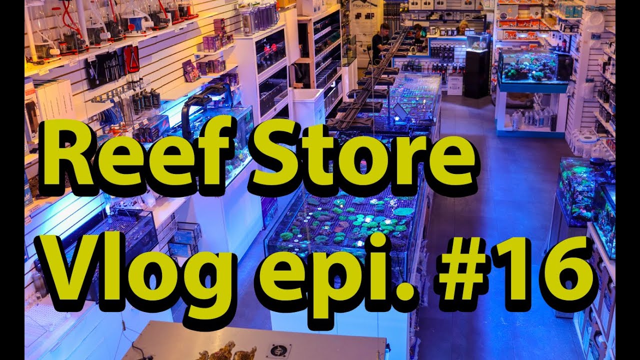 Coral Reef Store Vlog Episode #16