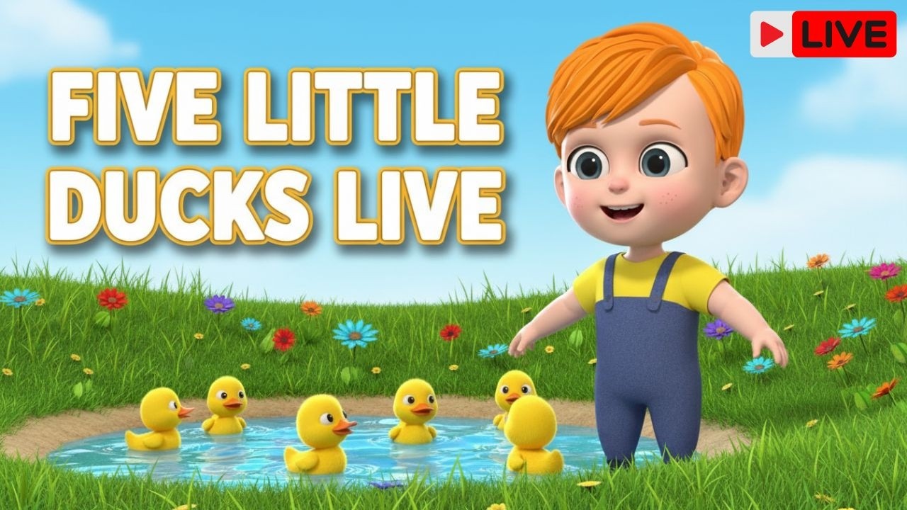 Five Little Ducks 🦆 LIVE | 24/7 Nursery Rhymes & Kids Songs Stream