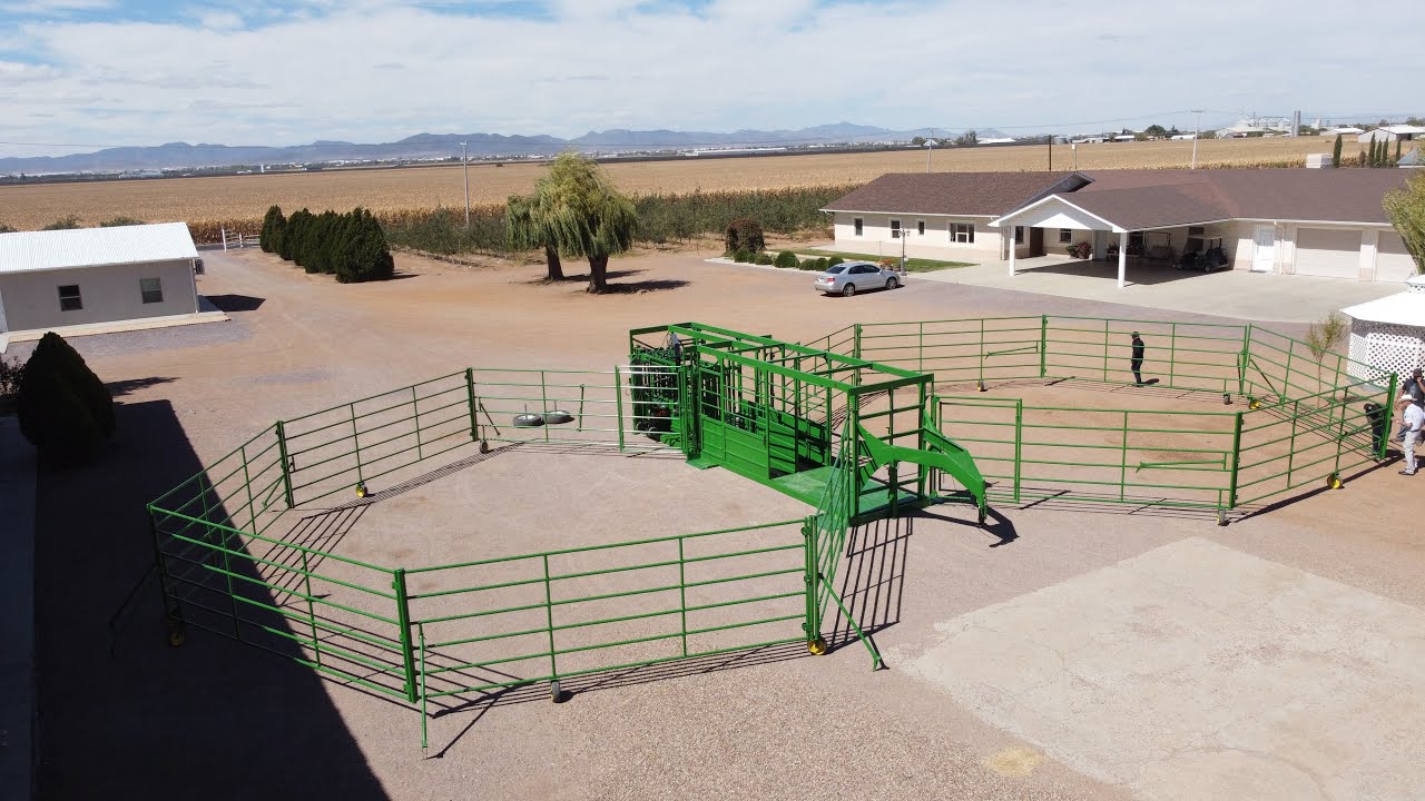 Portable corral with chute #livestock #corral #chutes #goosenecktrailer