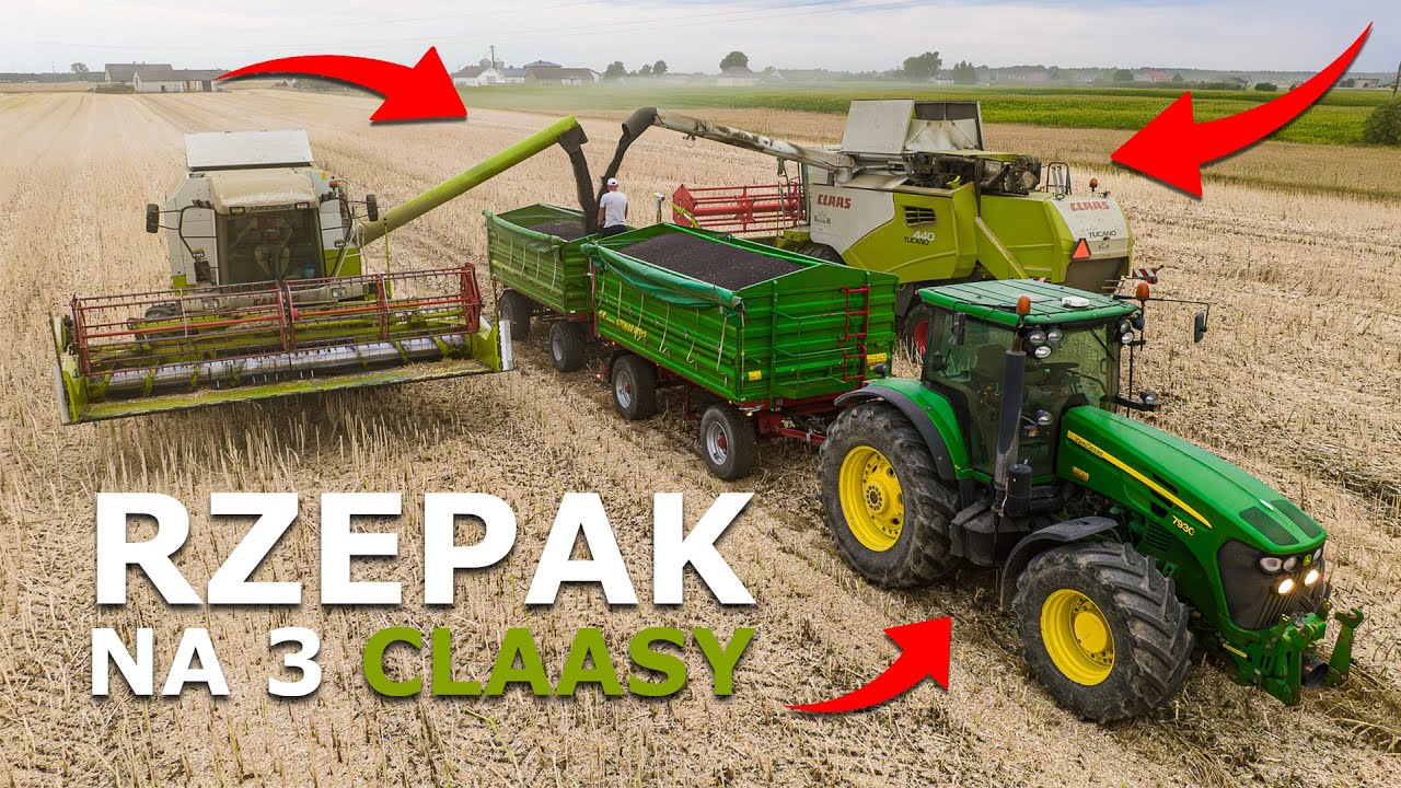 ŻNIWA 2023 - RZEPAK | 3 x CLAAS | USŁUGI AGROTECHNICZNE SZUDZIK